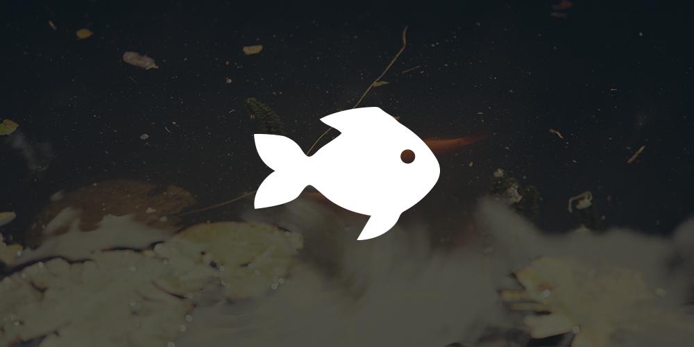 website-fish.jpg