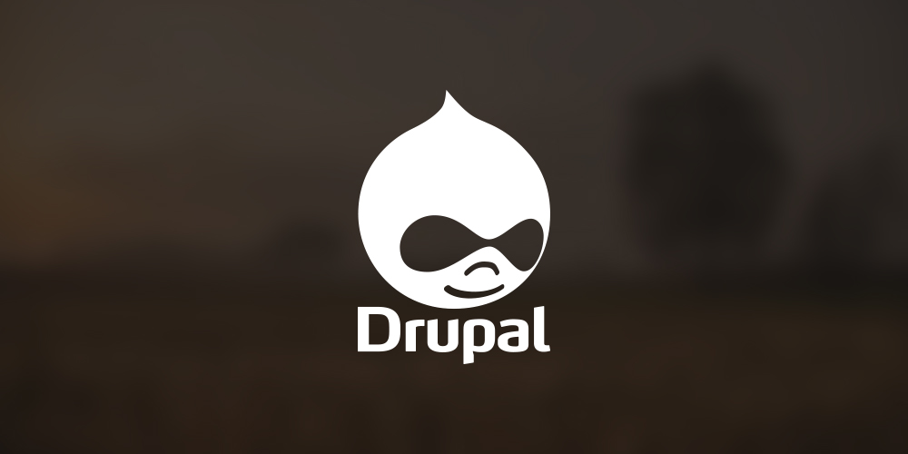 drupal-website-winnipeg.jpg